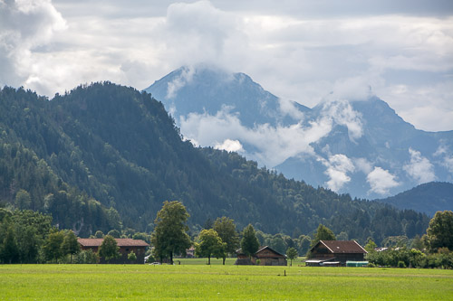 dsc_4850.jpg
