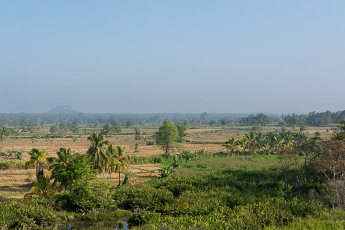 DSC_8371.jpg