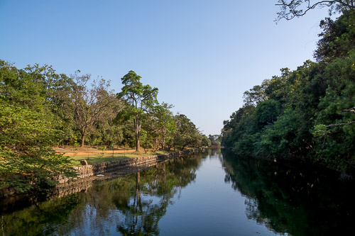 DSC_8392.jpg