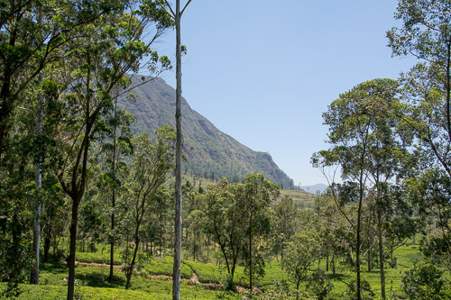 DSC_8686.jpg
