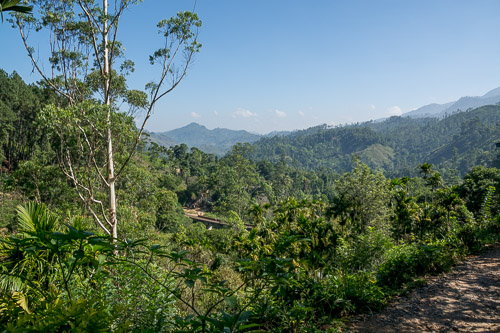 DSC_8812.jpg