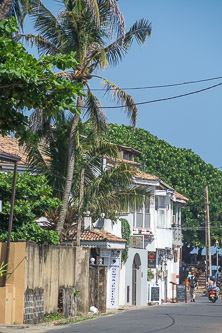 DSC_9010.jpg