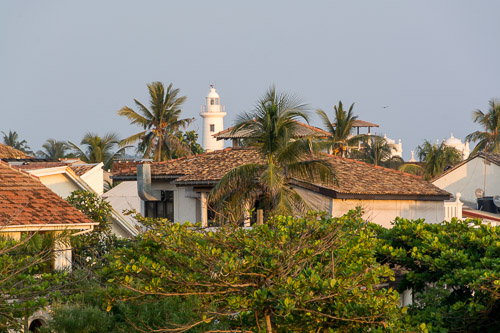 DSC_9042.jpg