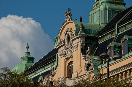 dsc_5403-2.jpg