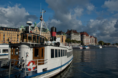 dsc_5429.jpg