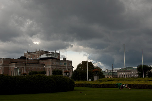 dsc_5453.jpg