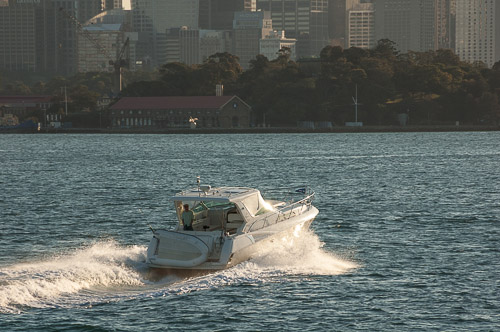 dsc_8638.jpg