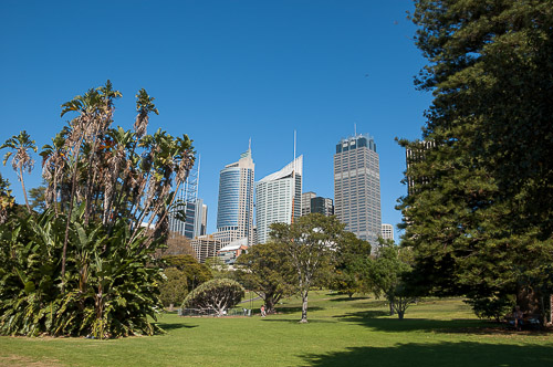 dsc_8874.jpg