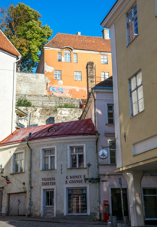 DSC_2781.jpg