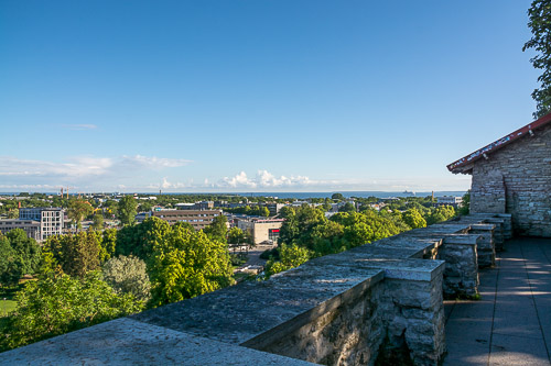 DSC_2809.jpg
