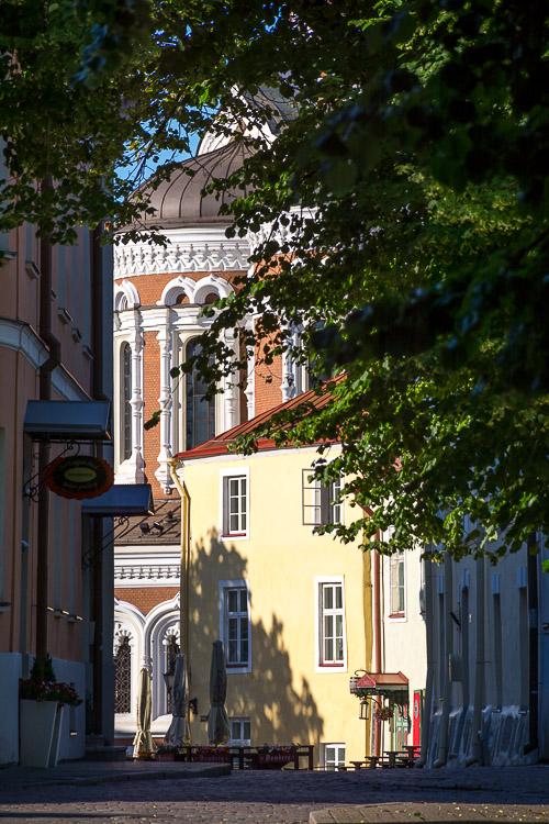 DSC_2815.jpg
