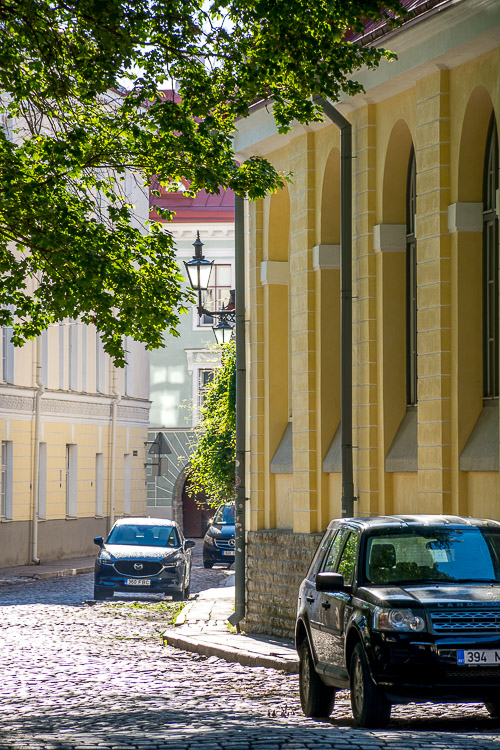 DSC_2835.jpg