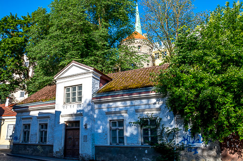 DSC_2865.jpg