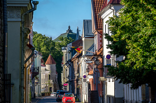 DSC_2868.jpg