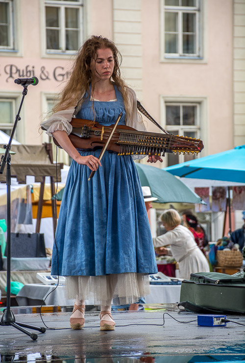 DSC_2977.jpg