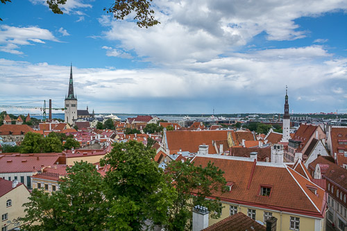 DSC_2981.jpg