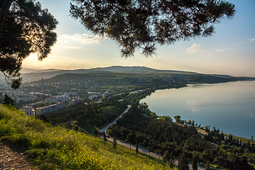 DSC_3550.jpg