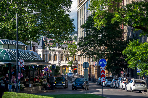 DSC_4014.jpg
