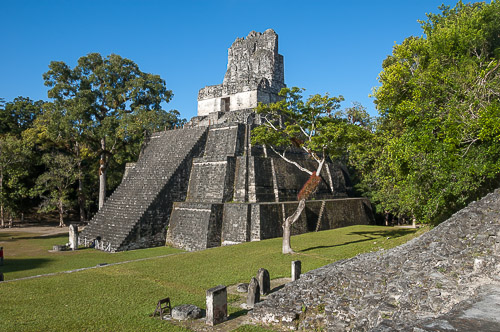 dsc_5124.jpg