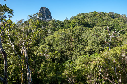 dsc_5150.jpg