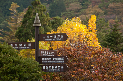 dsc_19388.jpg