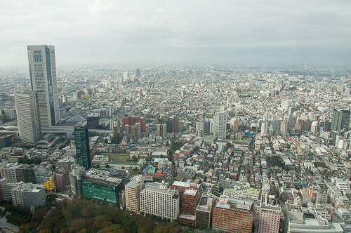 dsc_19473.jpg