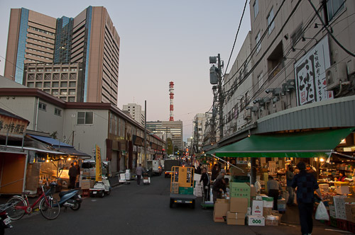 dsc_19687.jpg