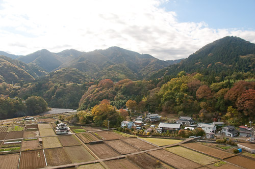 dsc_19734.jpg