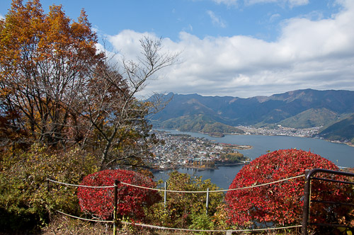 dsc_19747.jpg