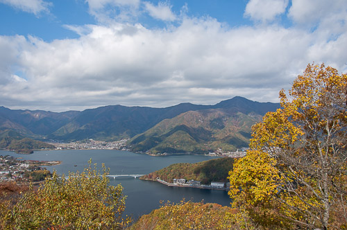 dsc_19752.jpg