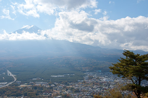 dsc_19756.jpg