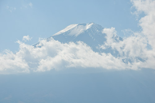 dsc_19758.jpg