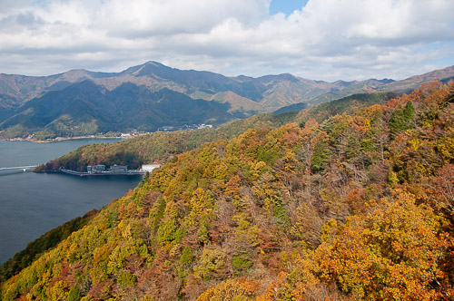 dsc_19761.jpg