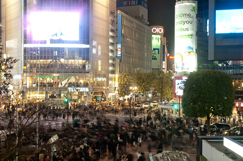 dsc_19819.jpg