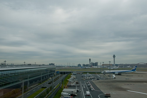 dsc_19833.jpg