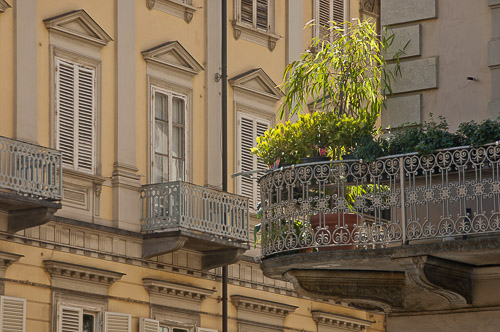 dsc_8987.jpg
