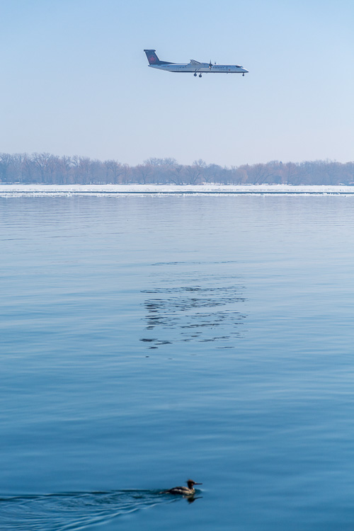 ESC_0978.jpg