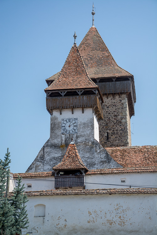DSC_5384.jpg