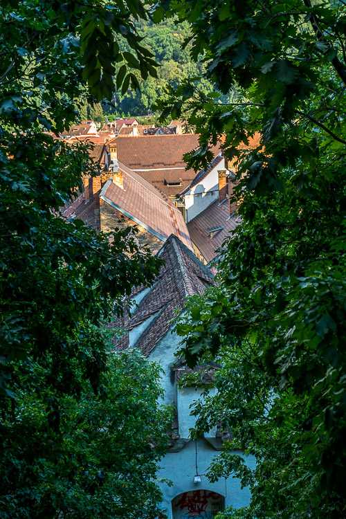 DSC_5457.jpg
