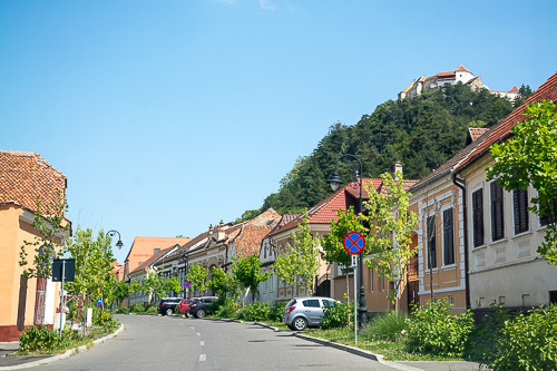 DSC_5532.jpg