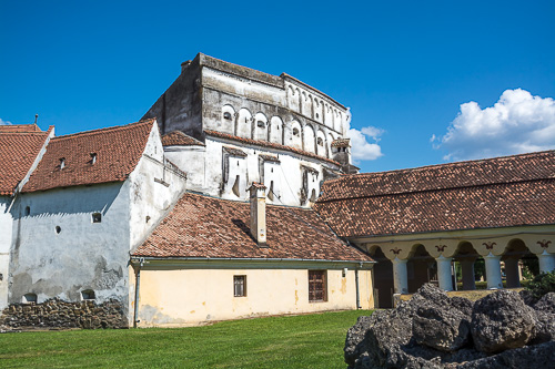 DSC_5558.jpg