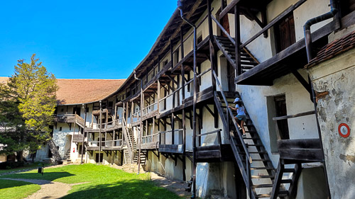 DSC_5565_20250817_153220.jpg
