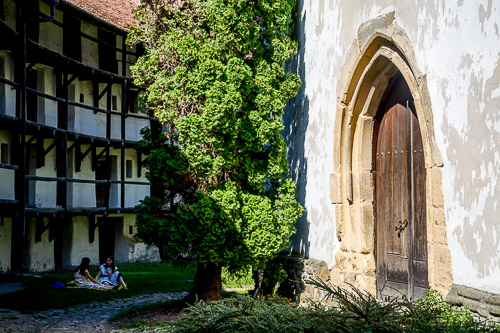DSC_5582.jpg