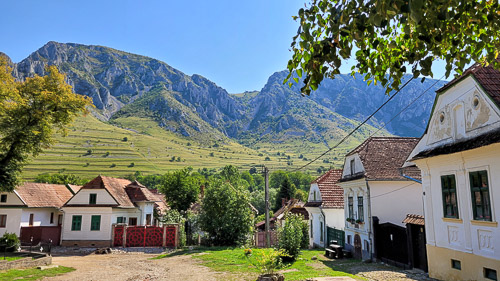 DSC_6520_20250821_111044.jpg