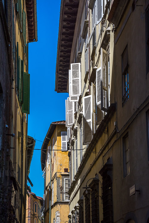 DSC_1597.jpg