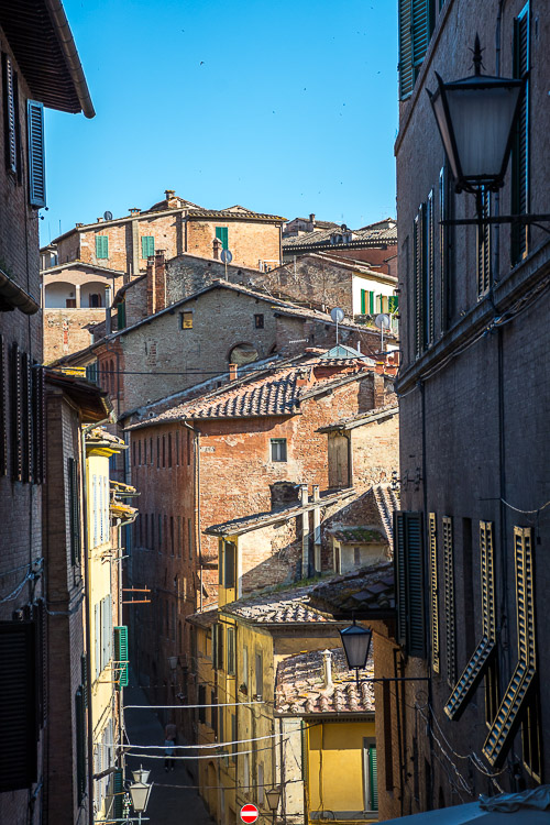 DSC_1729.jpg