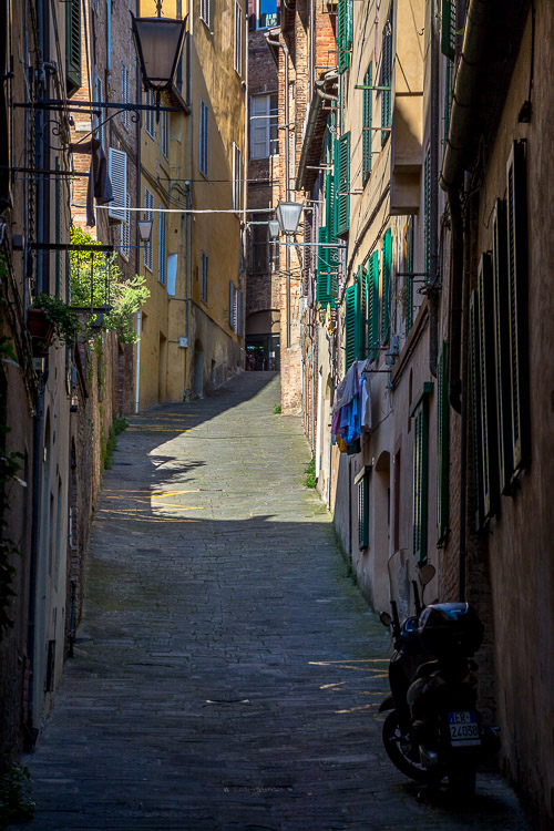 DSC_1740.jpg