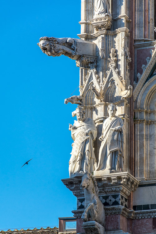 DSC_1785.jpg