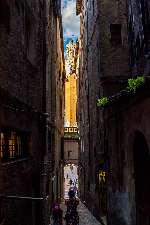 DSC_1798.jpg