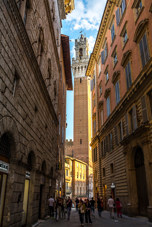 DSC_1838.jpg